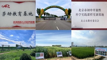 中國(guó)農(nóng)大涿州農(nóng)業(yè)科技園區(qū)入選全國(guó)科普教育基地，助力農(nóng)業(yè)科學(xué)新發(fā)展